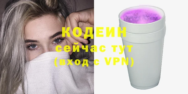 спиды Горняк