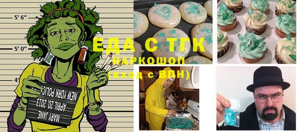 спиды Горняк