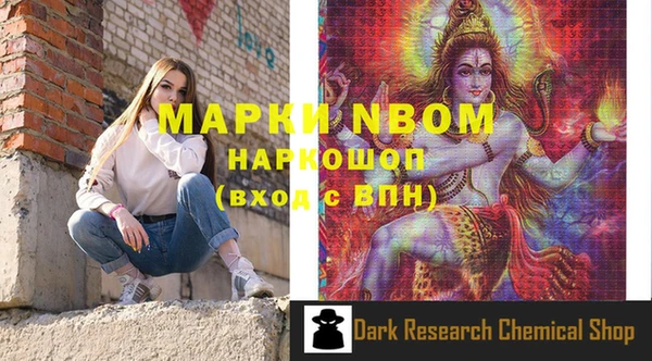 спиды Горняк