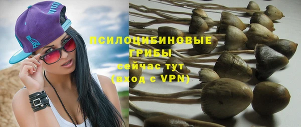 спиды Горняк
