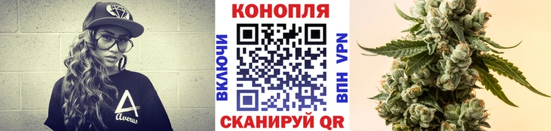 Конопля OG Kush  Купить  Зима 
